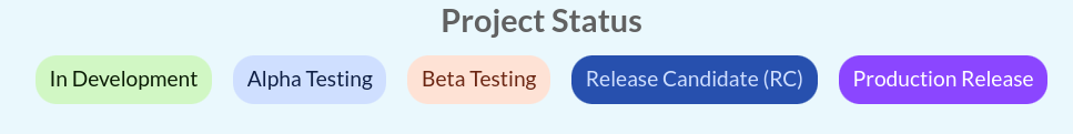 Project Status Flow